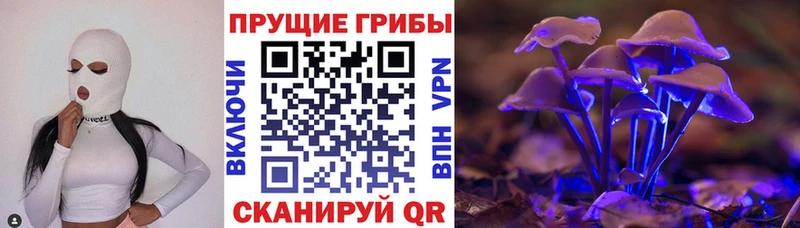 МЕГА сайт  Суоярви  Псилоцибиновые грибы прущие грибы 